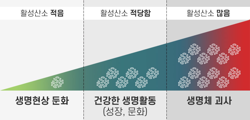 적절한 활성산소의 필요성